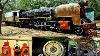 130 Years Old Meter And Narrow Gauge Steam Locomotives Royal Coaches Rail Bus Signaling