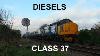 Diesels Class 37