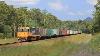 Narrow Gauge Aurizon Coal Train U0026 Dls Lead A Grain Train Trains Of South Australia U0026 Queensland
